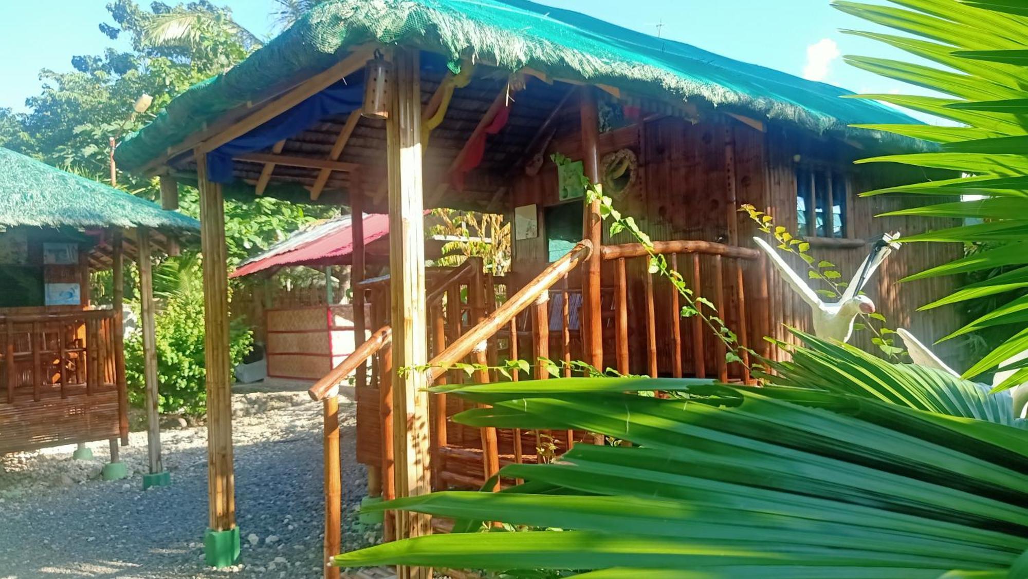Moalboal Bamboo House / Rooms Exteriér fotografie
