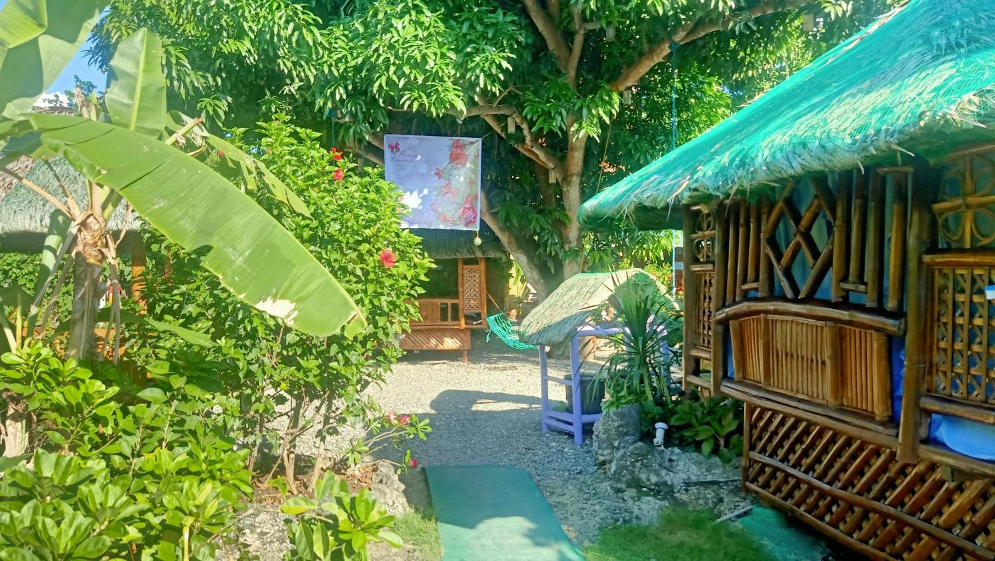 Moalboal Bamboo House / Rooms Exteriér fotografie